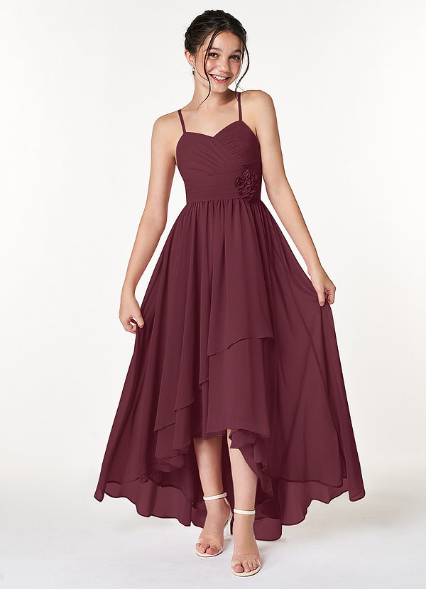 Azazie Catalina Junior Cabernet A-Line Ruched Chiffon Dress image1