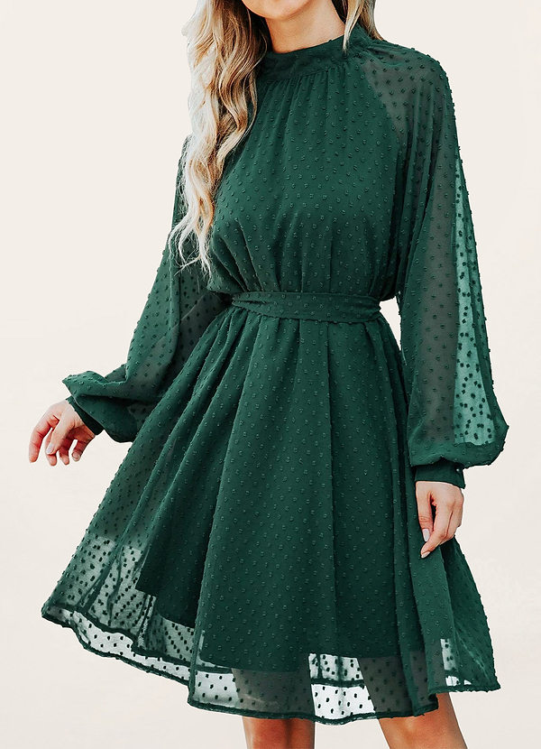 front Poetic Love Dark Emerald Swiss Dot Long Sleeve Midi Dress