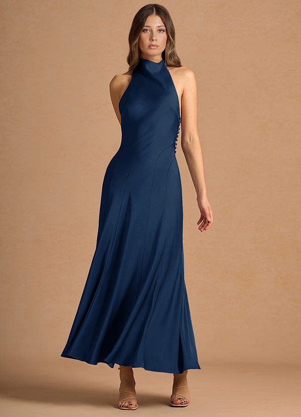 Diantha Navy Maxi Dress image1