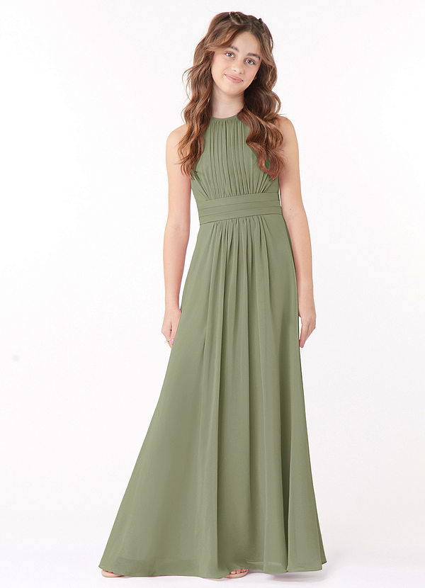 Azazie Bonnie Junior Pistachio A-Line Pleated Chiffon Dress image1