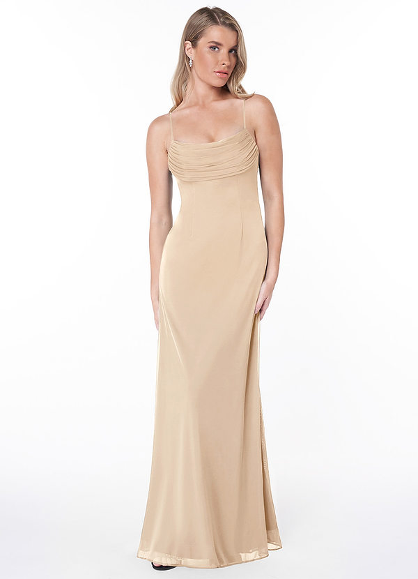 Azazie Chantal Bridesmaid Dresses A-Line Pleated Mesh Floor-Length Dress image1