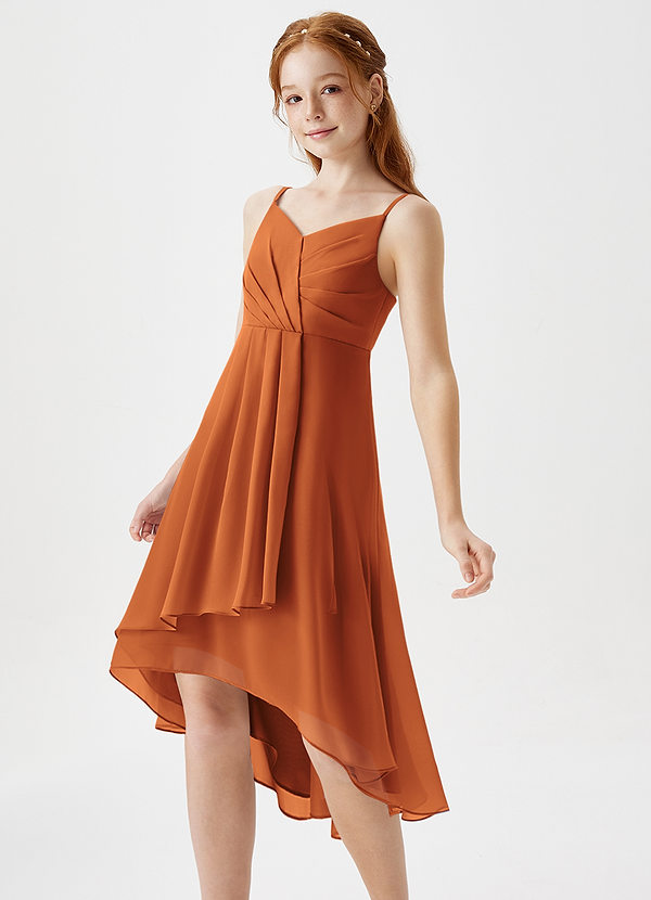 Azazie Mariam Junior Cinnamon A-Line Pleated Chiffon Dress image1