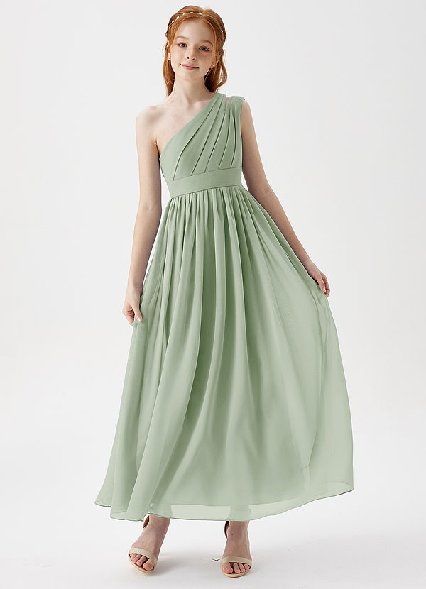 Azazie Anissa Junior Dusty Sage A-Line Pleated Chiffon Dress image1