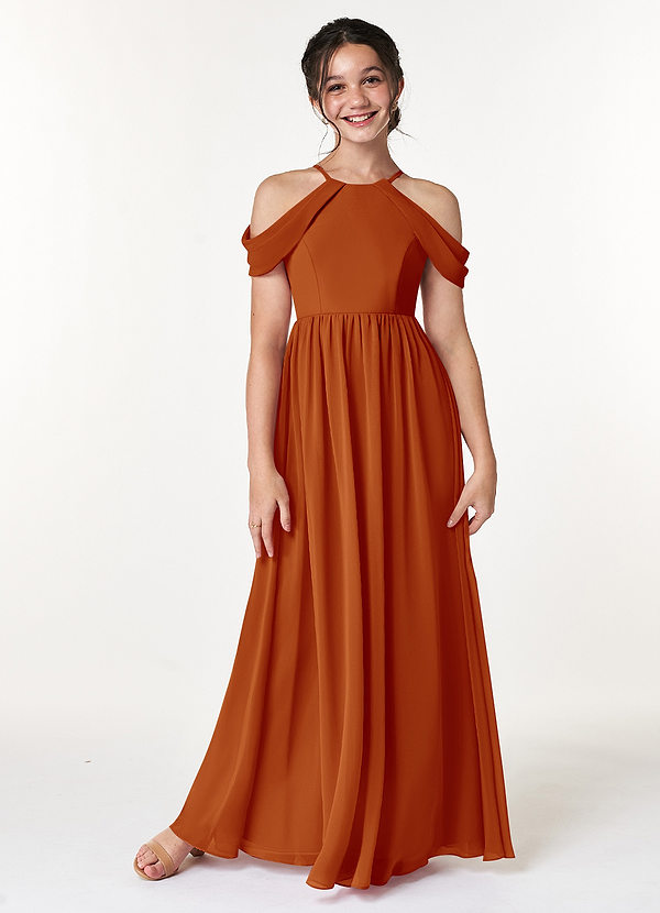 Azazie Seneca Junior Paprika A-Line Off the Shoulder Chiffon Dress image1