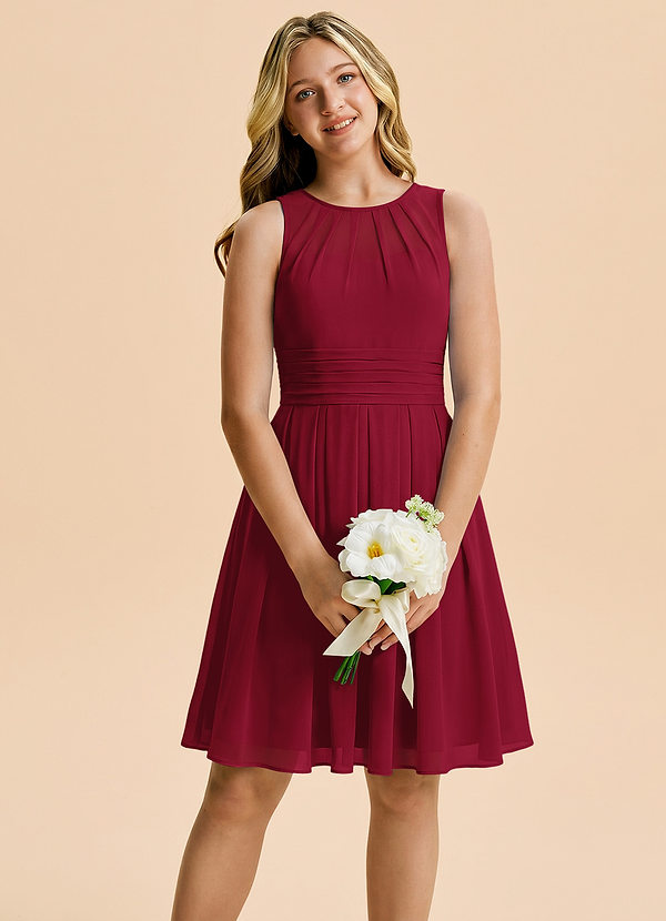 Azazie Bibiane Junior Burgundy A-Line Pleated Chiffon Dress image1