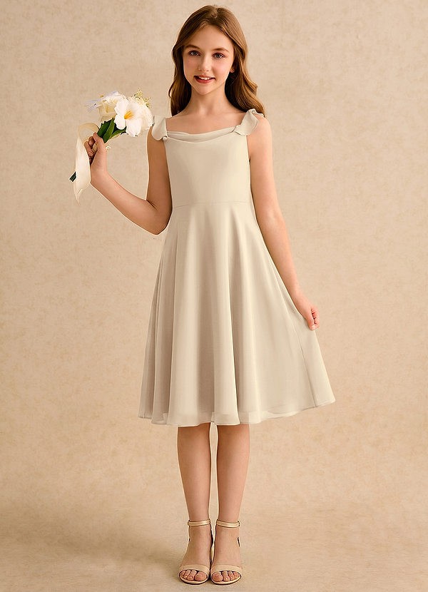 Azazie Pup Flower Girl Dresses Champagne A-Line Pleated Chiffon Dress image1