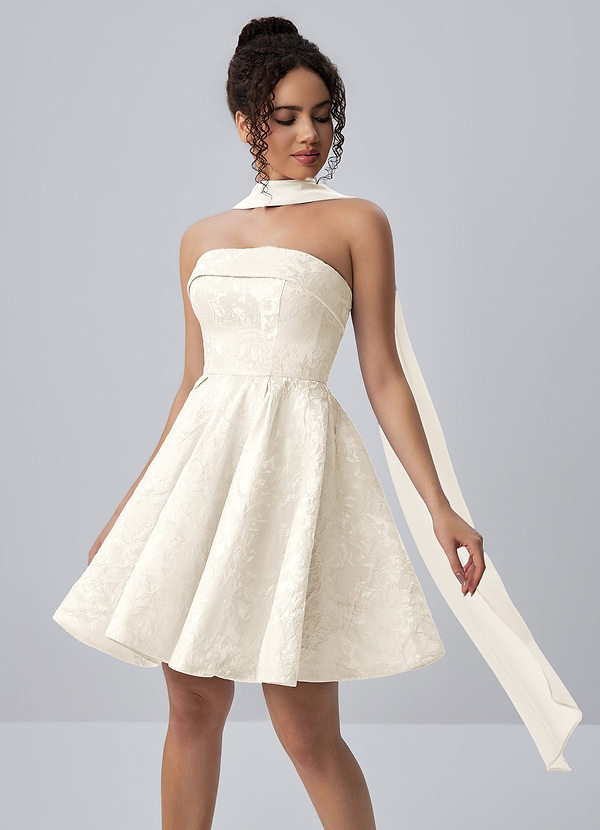 Calistabella Cream A-Line Jacquard Chiffon Mini Dress image1