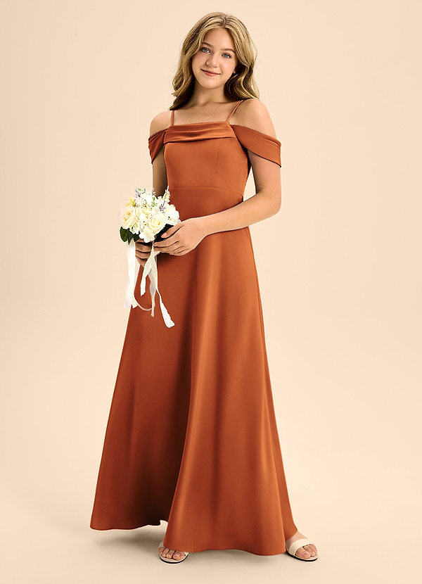 Azazie Anselie Junior Cinnamon A-Line Off the Shoulder Stretch Satin Dress image1