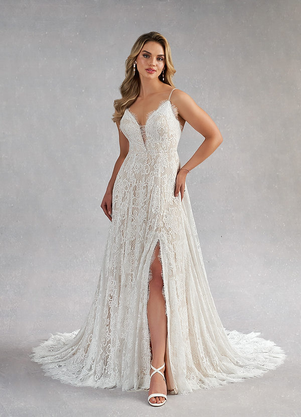 James A-Line V-Neck Lace Dress