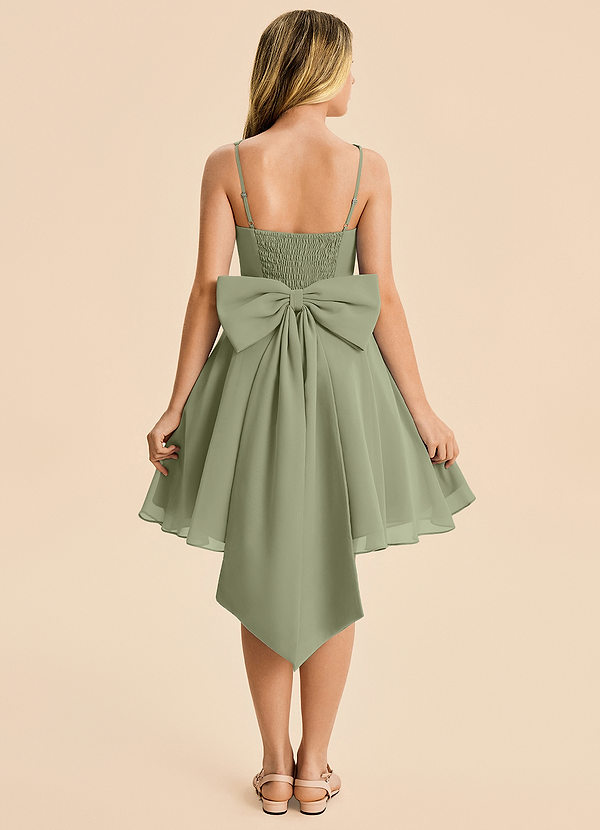 Azazie Arie Junior Pistachio A-Line Ruched Chiffon Dress image1