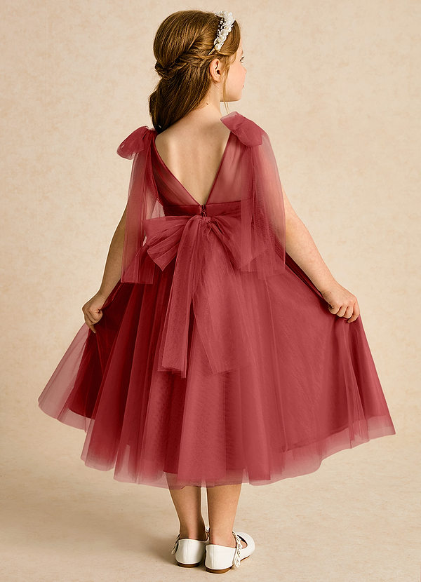 Azazie Dori Robes de Fillette d'Honneur Robe Trapèze en Tulle Rayé Rouille image1