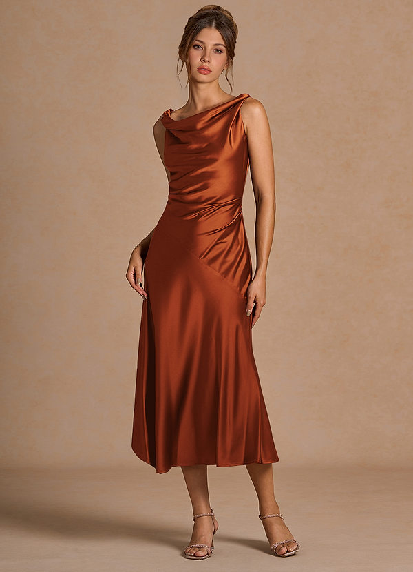 Nerine Spice Midi Dress image1