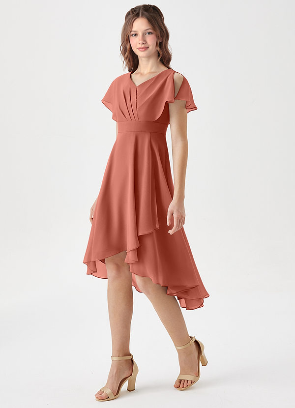 Azazie Graciela Junior Robe Trapèze en Mousseline de soie Plissée Argile image1