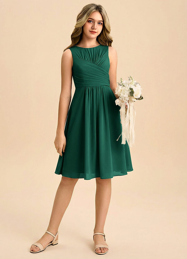 Azazie Skyla Junior Emerald A-Line Pleated Chiffon Dress image1