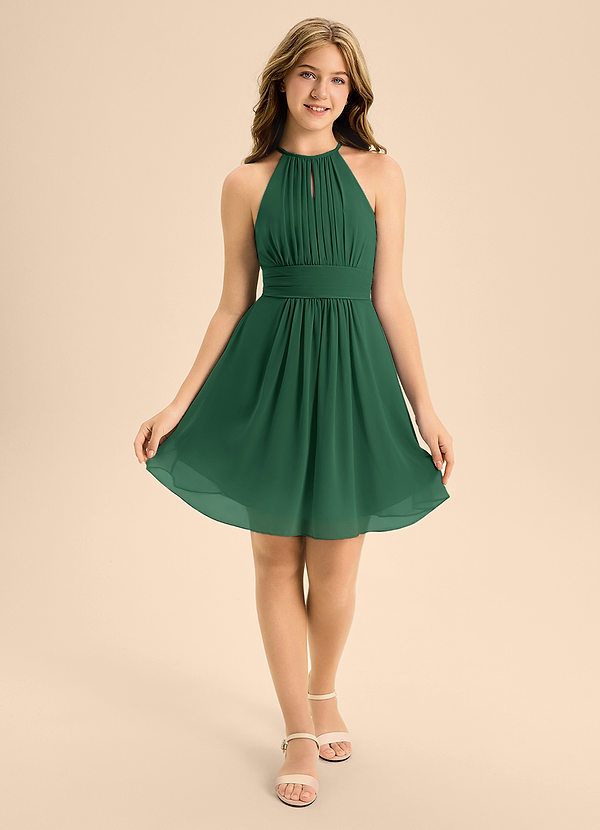 Azazie Bonnie Junior A-Linie Plissee Chiffon Kleid Dunkelgrün image1