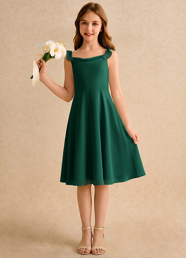 Azazie Pup Girls Formal Flower Girl Dresses Emerald A-Line Pleated Chiffon Dress image1