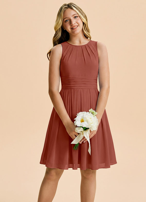 Azazie Bibiane Junior Auburn A-Line Pleated Chiffon Dress image1