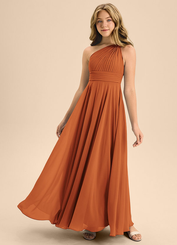 Azazie Charlize Junior Cinnamon A-Line Pleated Chiffon Dress image1