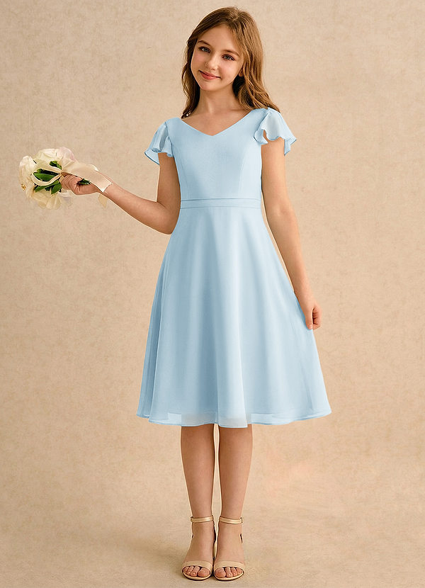 Azazie Narin Girls Formal Vestidos de Niña de Flores Vestido de Azul Cielo de Gasa de Corte en A con Con mangas image1