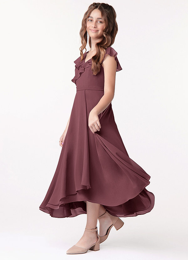 Azazie Posie Junior A-Linie Gestreift Chiffon Kleid Sangria image1