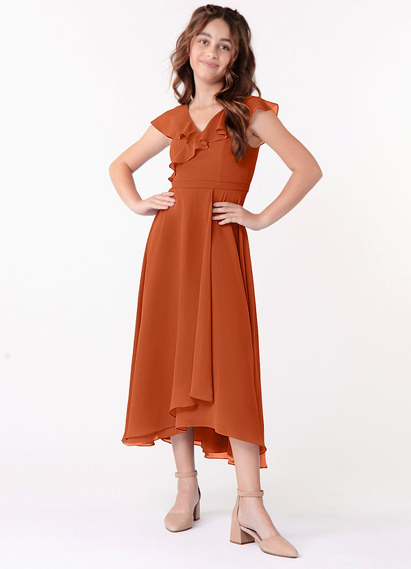 Azazie Posie Junior A-Linie Gestreift Chiffon Kleid Gebranntes Orange image1