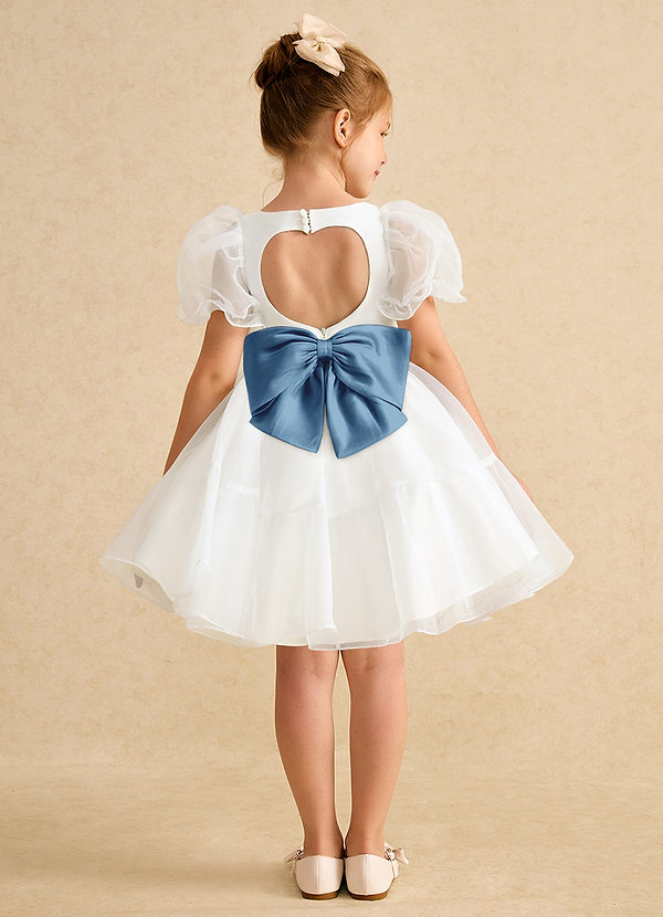 Azazie Debbie Vestidos de Niña de Flores Vestido de Marfil Azul Acero de Organza de Princesa con Escote de Corazón image1