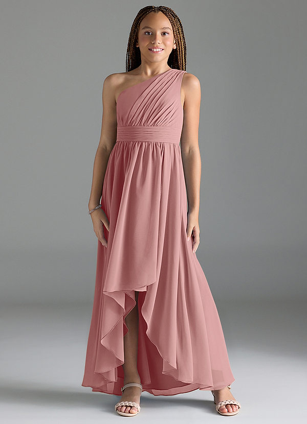 Azazie Mathilda Junior Dusty Rose A-Line Pleated Chiffon Dress image1