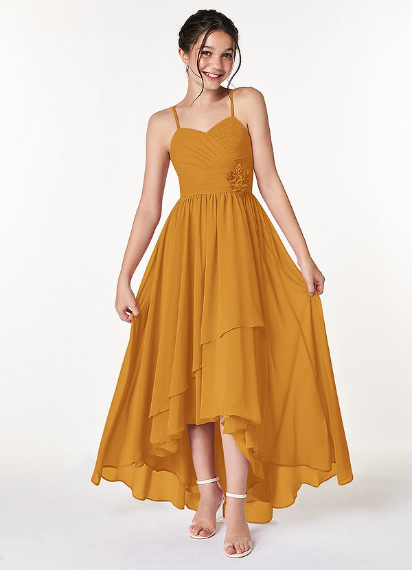Azazie Catalina Junior Butterscotch A-Line Ruched Chiffon Dress image1