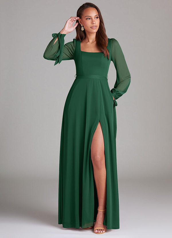 Leonia A-Line Long Sleeve Mesh Dress