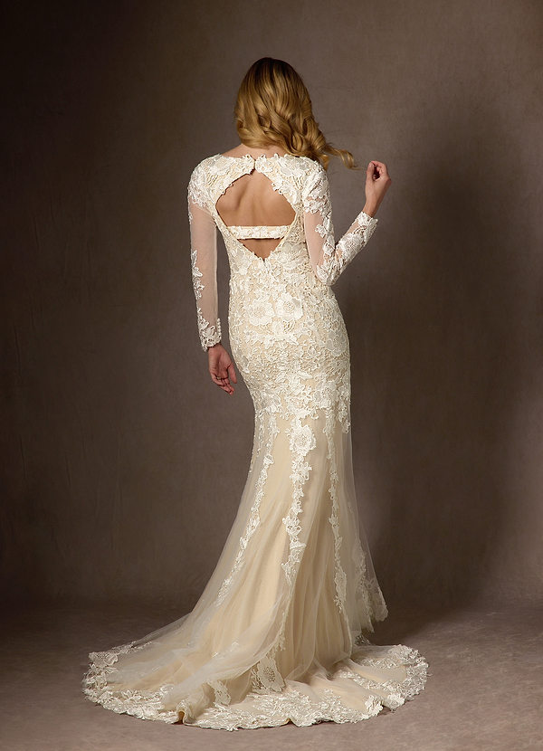 Azazie Dulce Amor Wedding Dresses Diamond White Champagne Mermaid V-Neck lace Tulle Dress image1