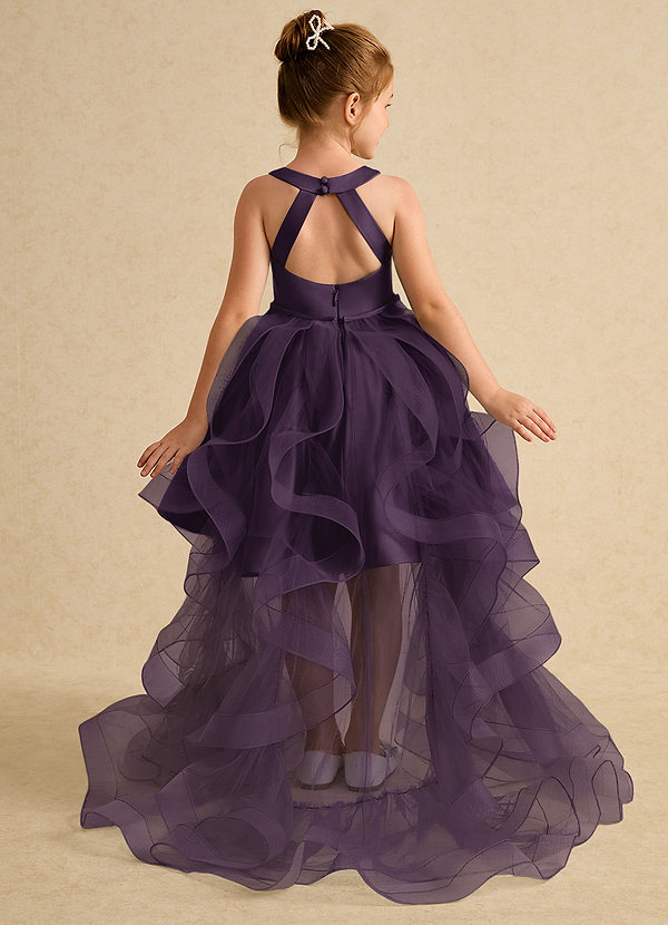 Azazie Julietta Robes de Fillette d'Honneur Robe Princesse en Tulle Convertible Prune image1