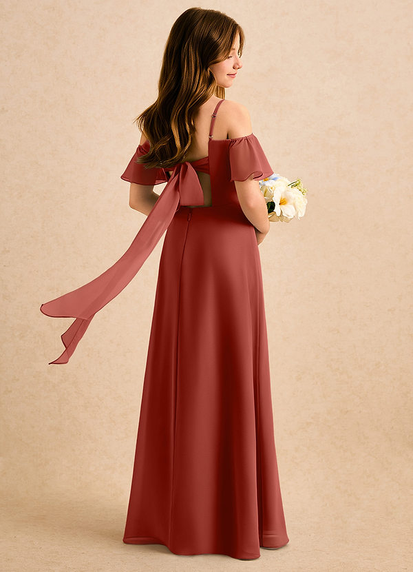 Azazie Robyn Girls Formal Sukienki dla dziewczynek sypiących kwiaty Linia A Dekolt w kształcie serca Szyfon Długość podłogi Sukienka image1