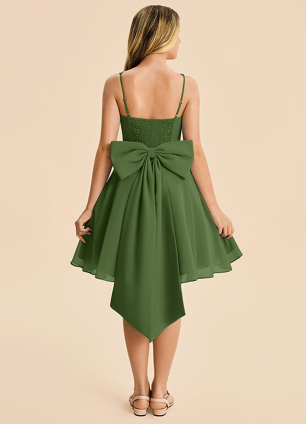 Arie Junior Olive A-Line Ruched Chiffon Dress image1