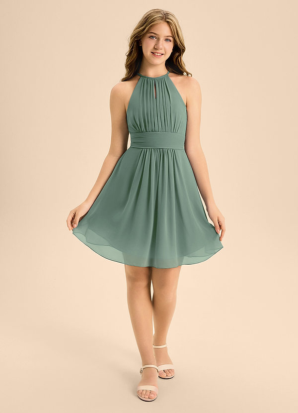 Azazie Bonnie Junior Eucalyptus A-Line Pleated Chiffon Dress image1