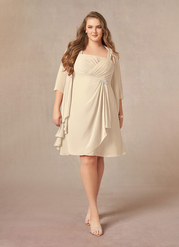 Pleated Bodice Chiffon Long Dresses with Slit Champagne Plus Size