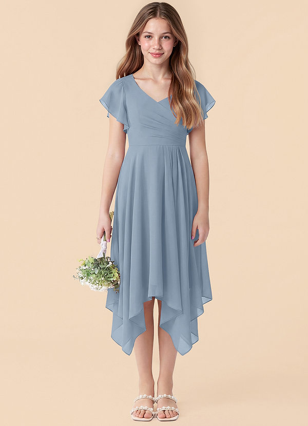 Janeaurelia Junior Dusty Blue A-Line Pleated Chiffon Dress image1