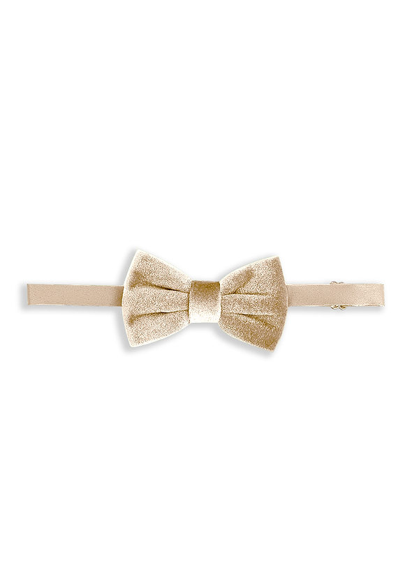 front Boy's Adjustable Velvet Pre-Tied Bow Tie