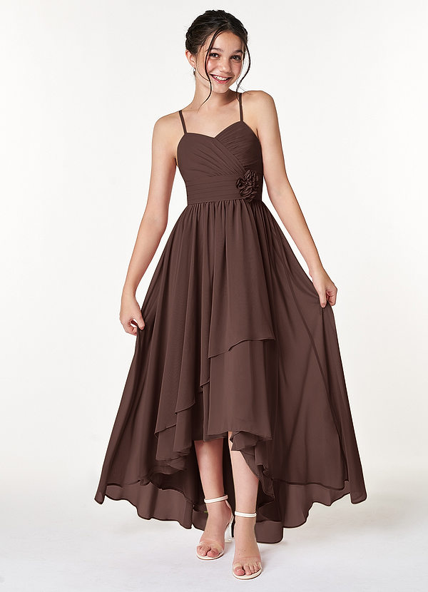 Catalina Junior Ganache A-Line Ruched Chiffon Dress image1