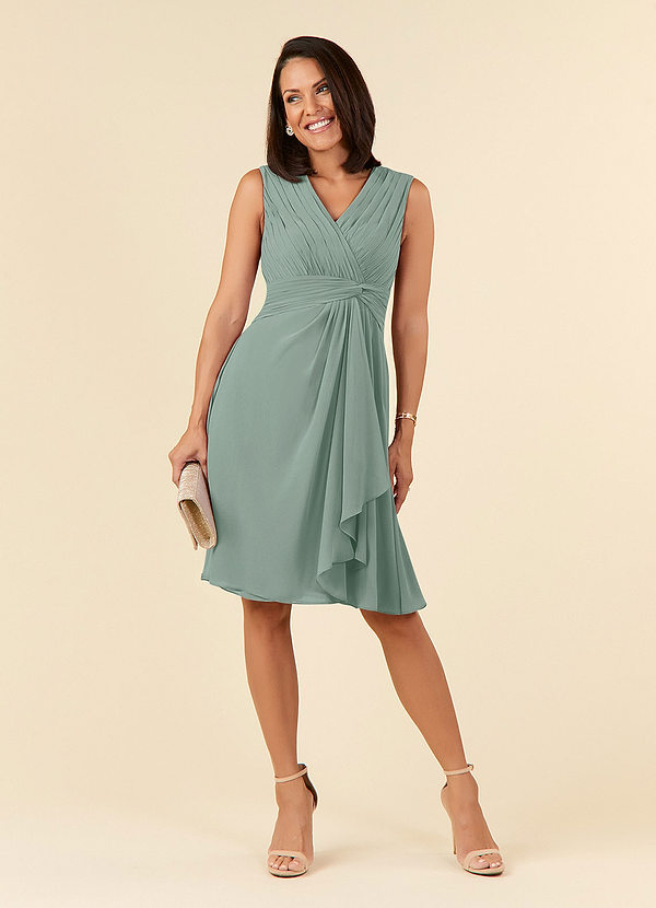 Theron Mother of the Brides Dresses Silver Sage A-Line V-Neck Pleated Chiffon Dress image1