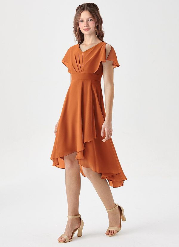 Azazie Graciela Junior Cinnamon A-Line Pleated Chiffon Dress image1