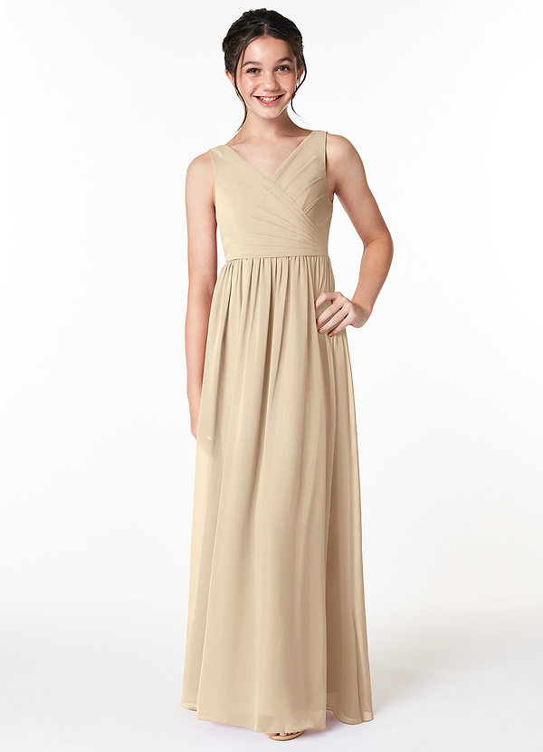 Azazie Sawyer Junior Champagne A-Line Pleated Chiffon Dress image1
