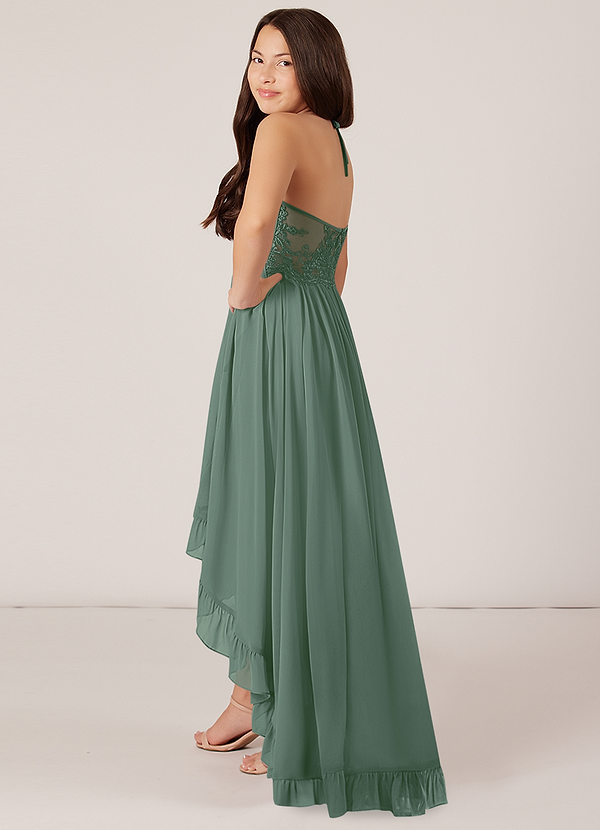 Azazie Sarafina Junior Eucalyptus A-Line Lace Chiffon Dress image1