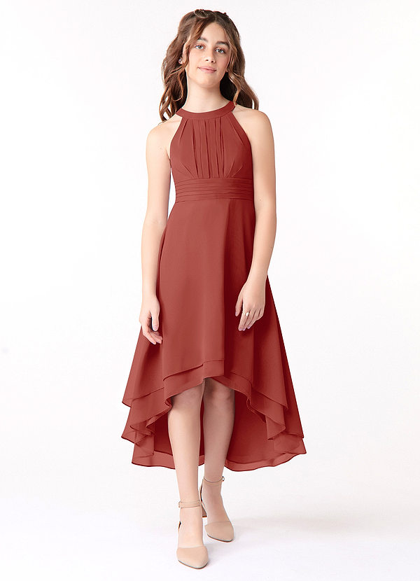 Azazie Linna Junior Terracotta A-Line Pleated Chiffon Dress image1