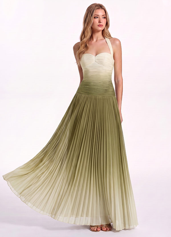 Romilly Verstandig Halterjurk van chiffon met ombré-effect, geplooid en tot op de grond. image1