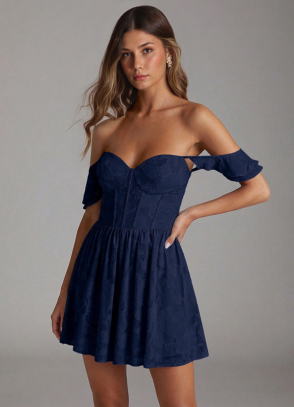 Denisse Navy Mini Dress image1
