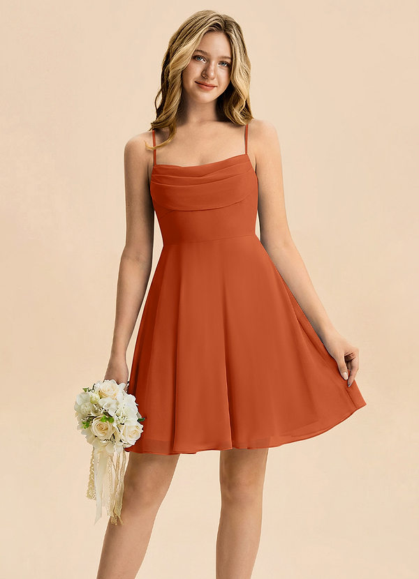 Azazie Bear Junior Burnt Orange A-Line Pleated Chiffon Dress image1