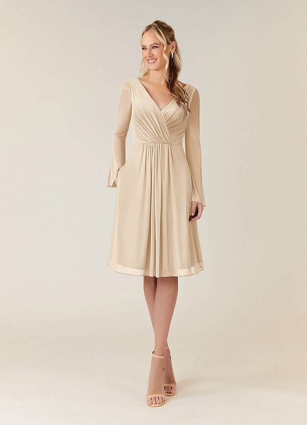 Azazie Teraso Mother of the Bride Dresses A-Line Pleated Mesh Knee-Length Dress image1