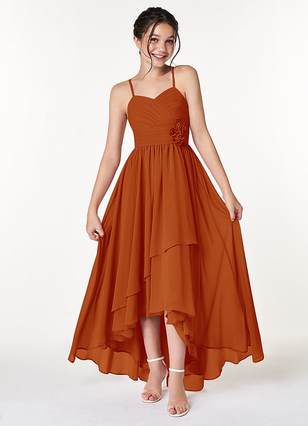 Azazie Catalina Junior Paprika A-Line Ruched Chiffon Dress image1