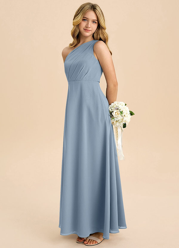 Azazie Phaedra Junior Dusty Blue A-Line Pleated Chiffon Dress image1