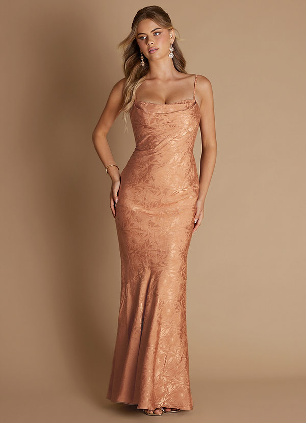 Yvonne Amber Bronze Maxi Dress image1